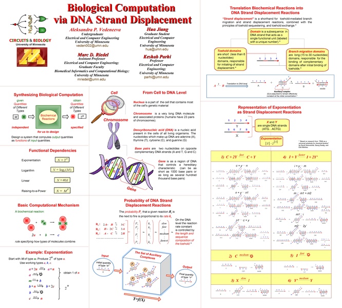 File:Poster Vedeneeva BICB 2010.pdf