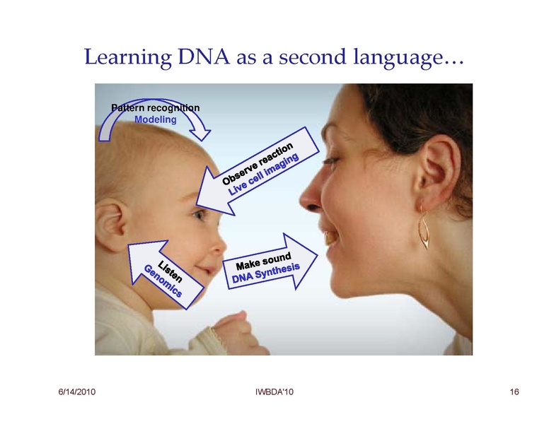 File:Peccoud Design of Synthetic Genetic Systems.pdf