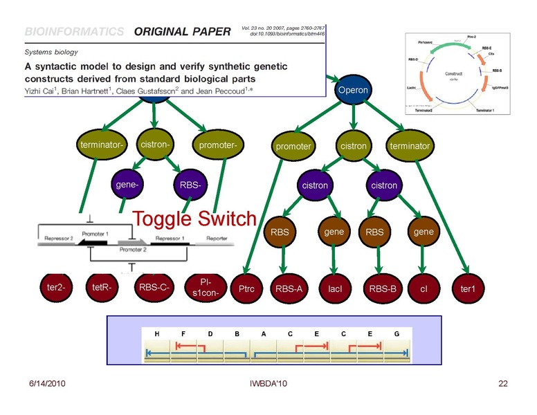 File:Peccoud Design of Synthetic Genetic Systems.pdf