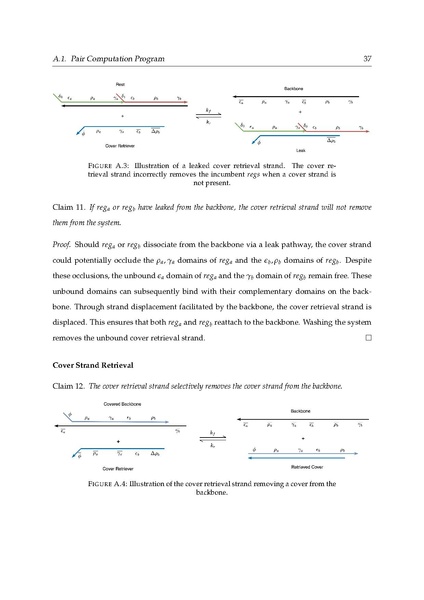 File:Kaslewicz jake random access dna registers.pdf