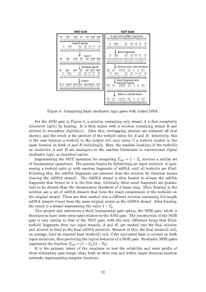 File:Hoffe083 honors thesis final report.pdf