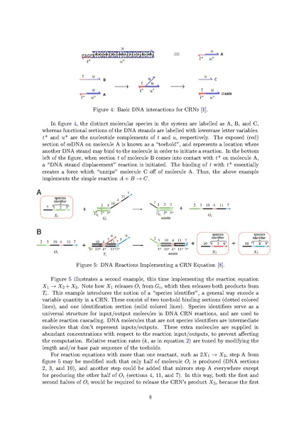 File:Hoffe083 honors thesis final report.pdf