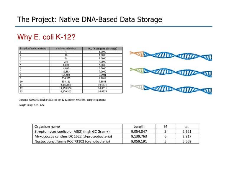 File:Riedel Storage and Processing with Native DNA.pdf