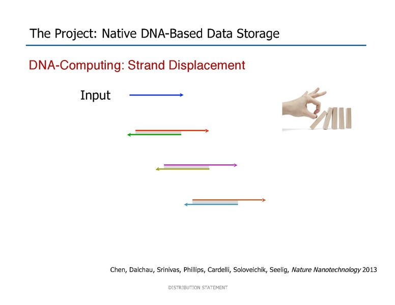 File:Riedel Storage and Processing with Native DNA.pdf