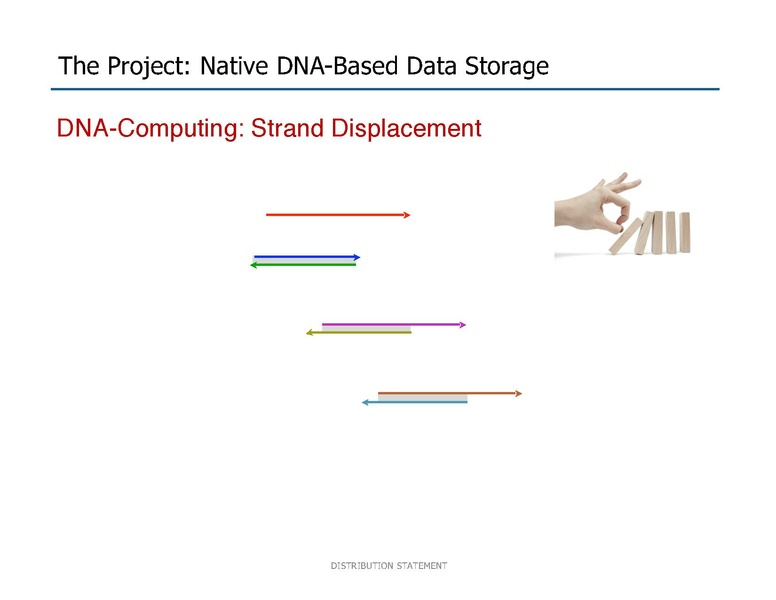File:Riedel Storage and Processing with Native DNA.pdf