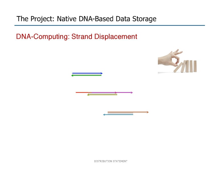 File:Riedel Storage and Processing with Native DNA.pdf