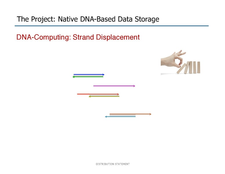 File:Riedel Storage and Processing with Native DNA.pdf