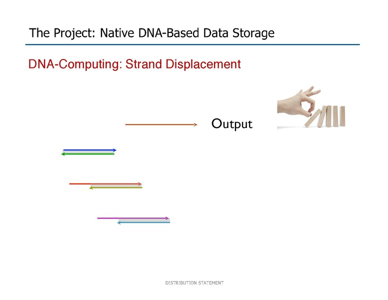 File:Riedel Storage and Processing with Native DNA.pdf
