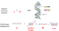 Thumbnail for version as of 20:55, 14 April 2013