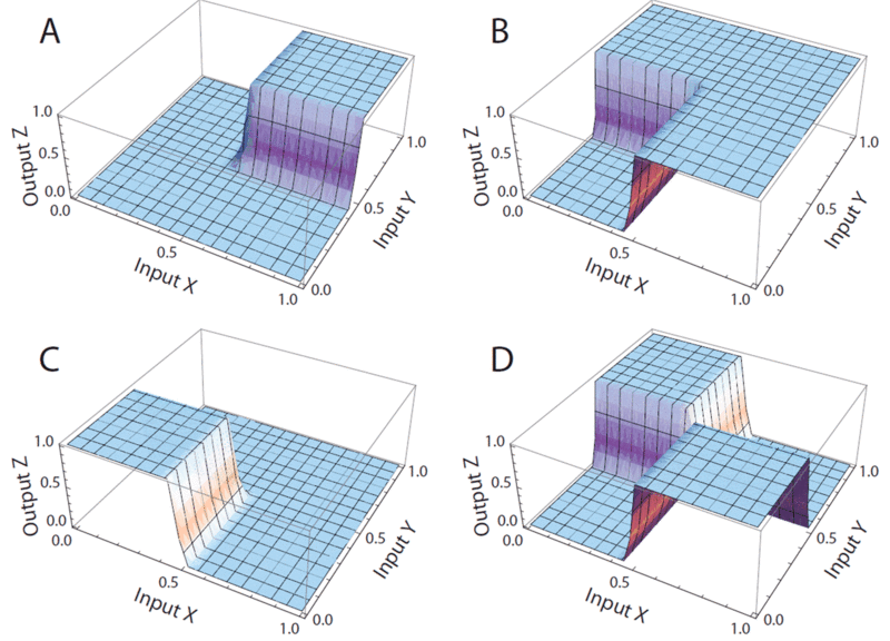 File:Dna-logic-gates.gif